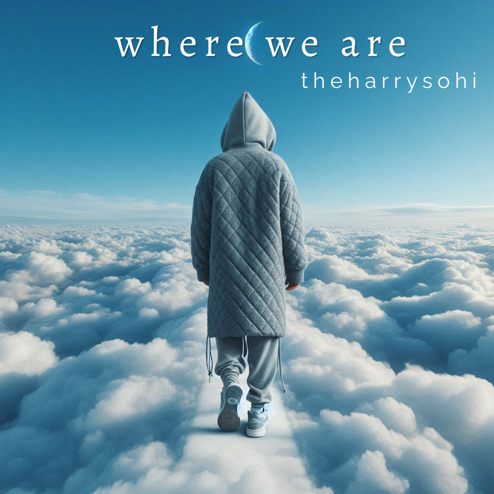 Where we are  The Harry Sohi 